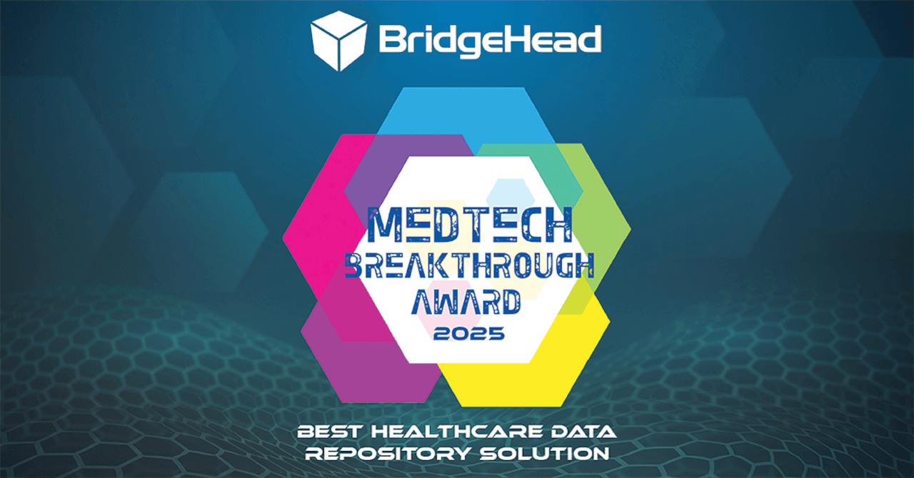 BridgeHead Software award win