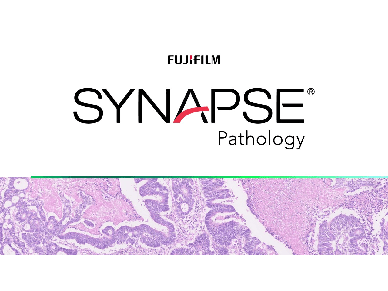 Fujifilm Synapse pathology
