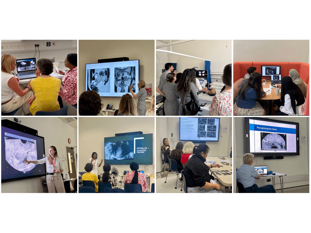 Gynaecological ultrasound course