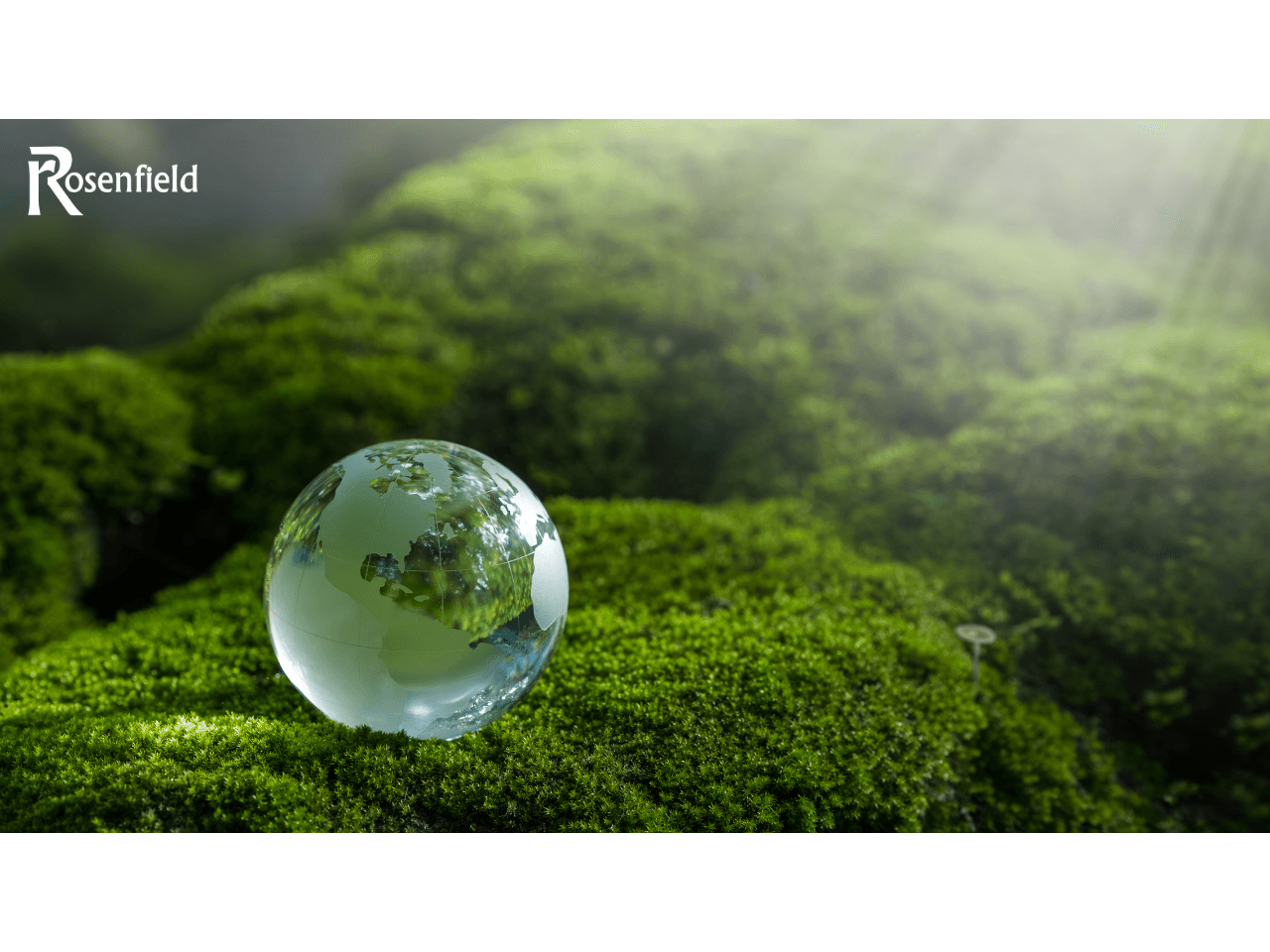 Rosenfield sustainability