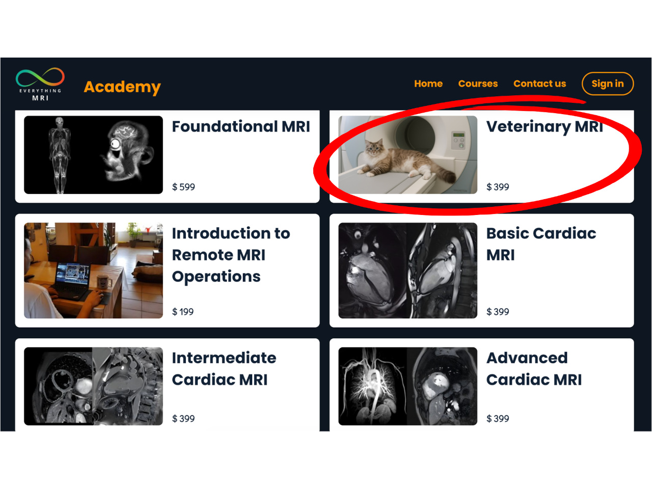 Everything MRI courses